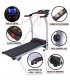 TROTADORA ELECTRICA  1.5 HP - OFERTA DEL MES